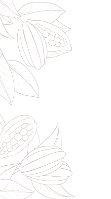 shape